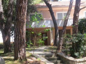 Гостиница Apartment Diana & Josip  Биоград На Мору